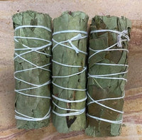 Eucalyptus Bundle
