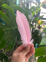 Feather-Pink