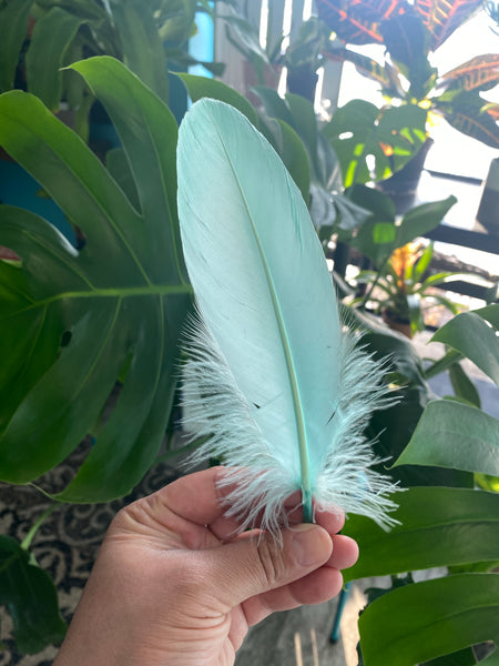 Feather- Mint