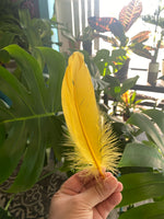 Feather- Golden Yellow