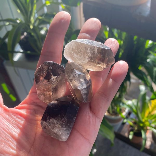 Smoky Quartz Points