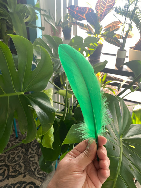 Feather - Green